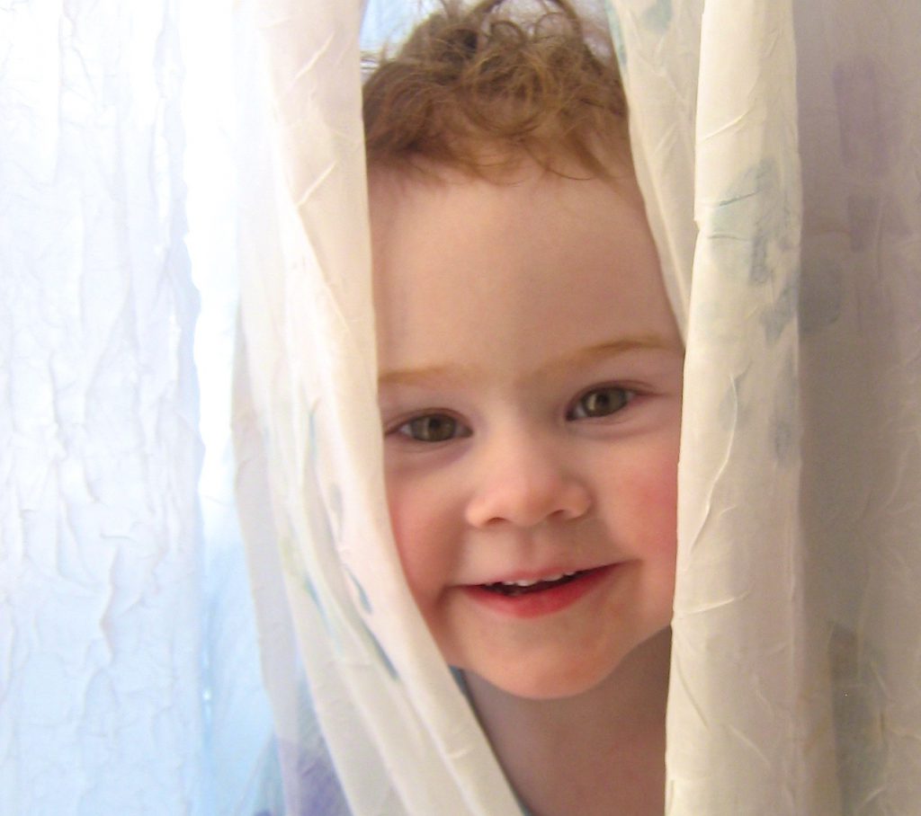 Who We Are, Board of Directors, Foundation Staff