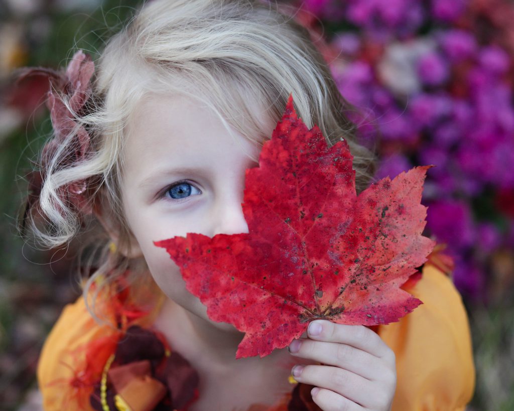 A young girl covering her left eye with a large red leaf, looking into the camera with her right