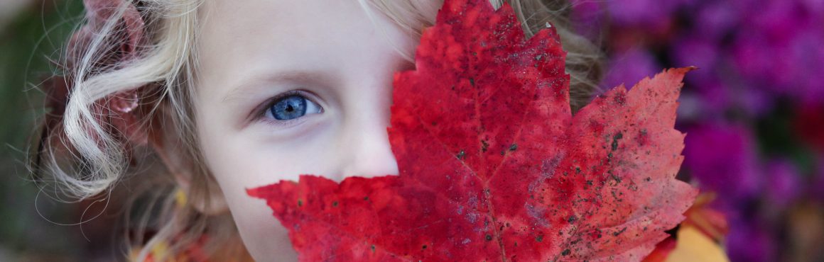 Kawartha Haliburton CAS