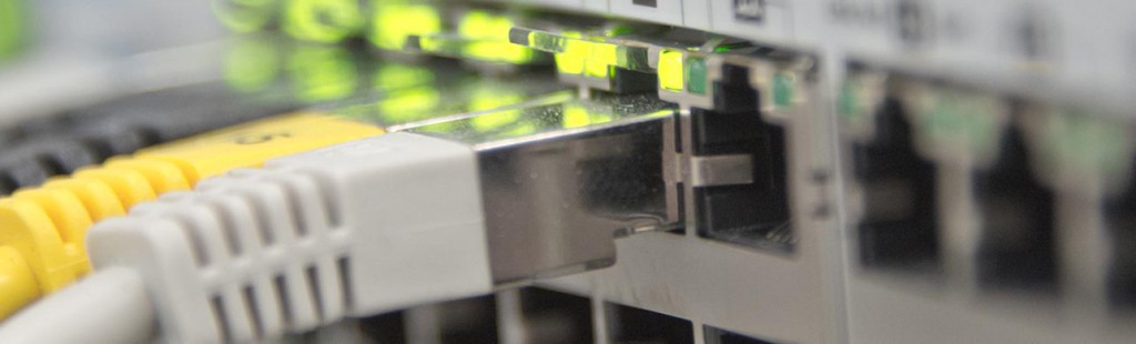 image of network cables plugged into a network switch